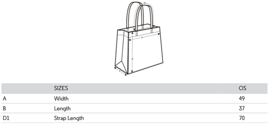 NSC Roundel Beach Bag